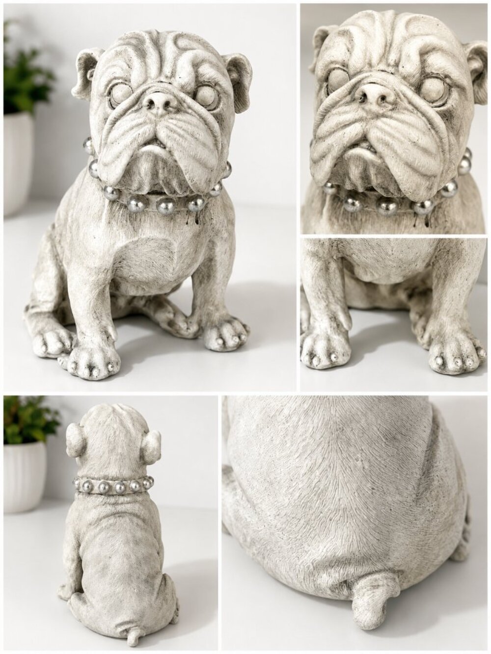 English Bulldog Statue Figurine White Wash Finish Silver Stud Collar
